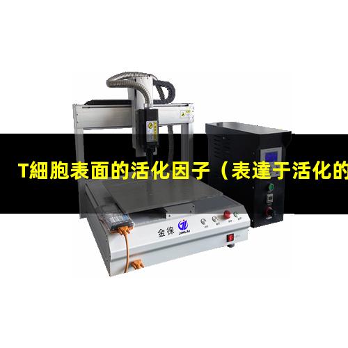 T細胞表面的活化因子