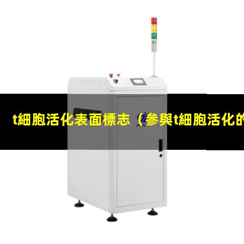 t細胞活化表面標志