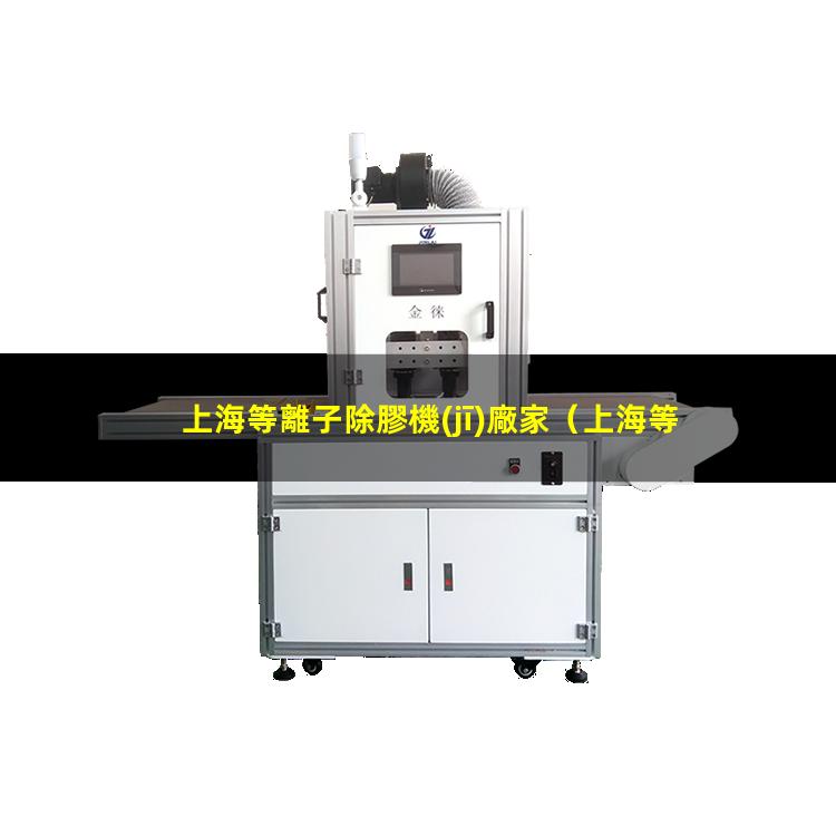 上海等離子除膠機(jī)廠家