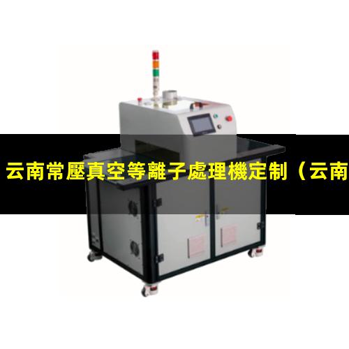云南常壓真空等離子處理機定制