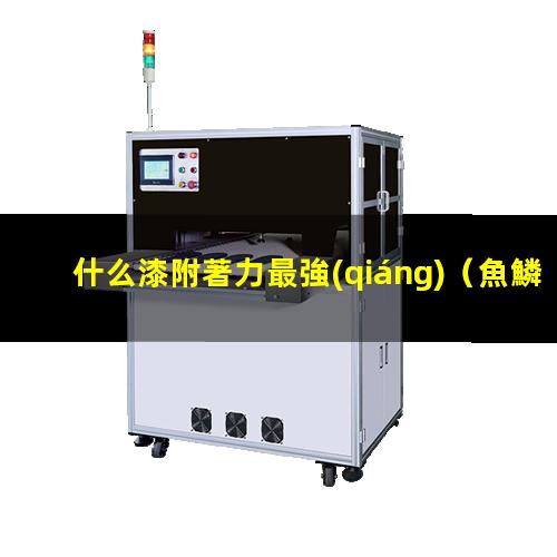 什么漆附著力最強(qiáng)