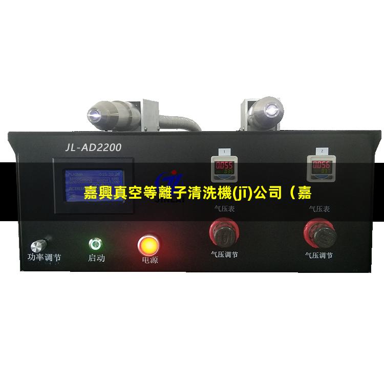 嘉興真空等離子清洗機(jī)公司