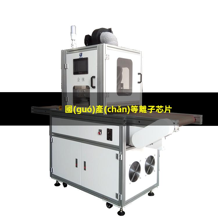 國(guó)產(chǎn)等離子芯片清洗
