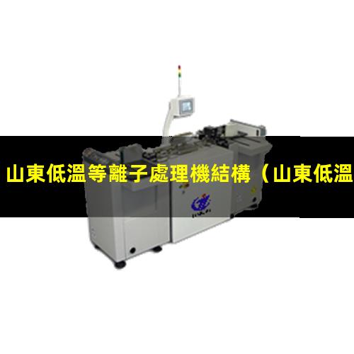 山東低溫等離子處理機結構