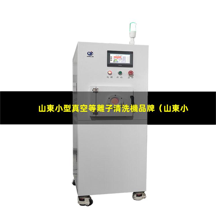山東小型真空等離子清洗機品牌