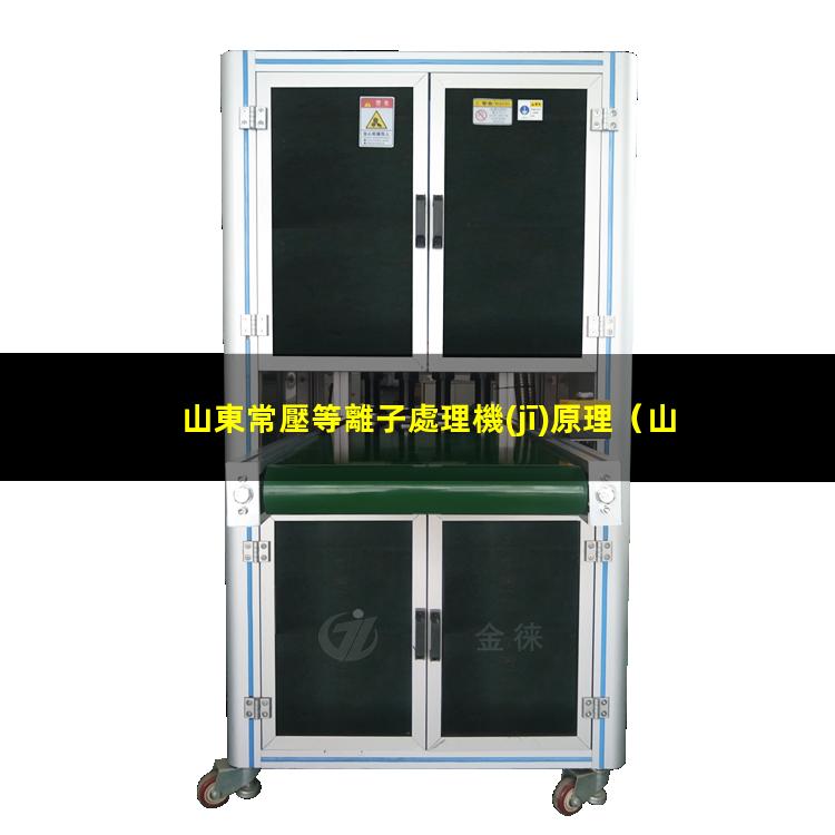 山東常壓等離子處理機(jī)原理