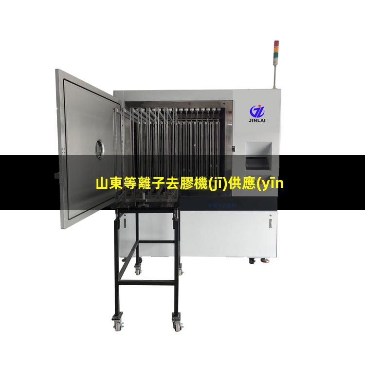 山東等離子去膠機(jī)供應(yīng)