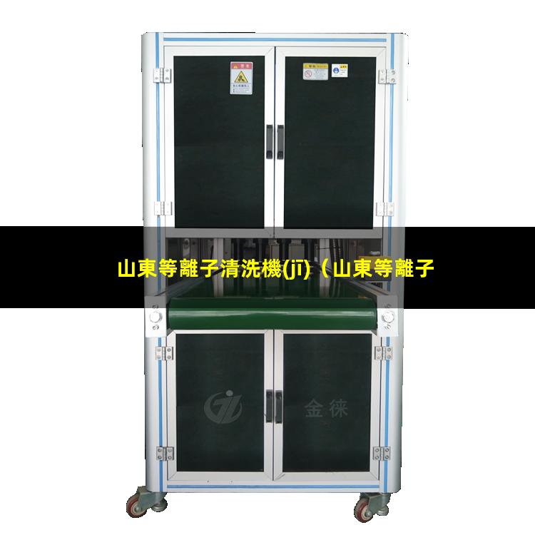 山東等離子清洗機(jī)