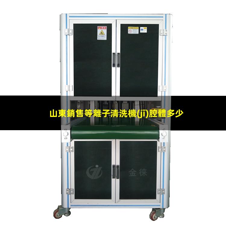 山東銷售等離子清洗機(jī)腔體多少錢