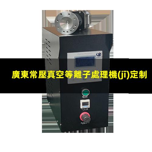 廣東常壓真空等離子處理機(jī)定制