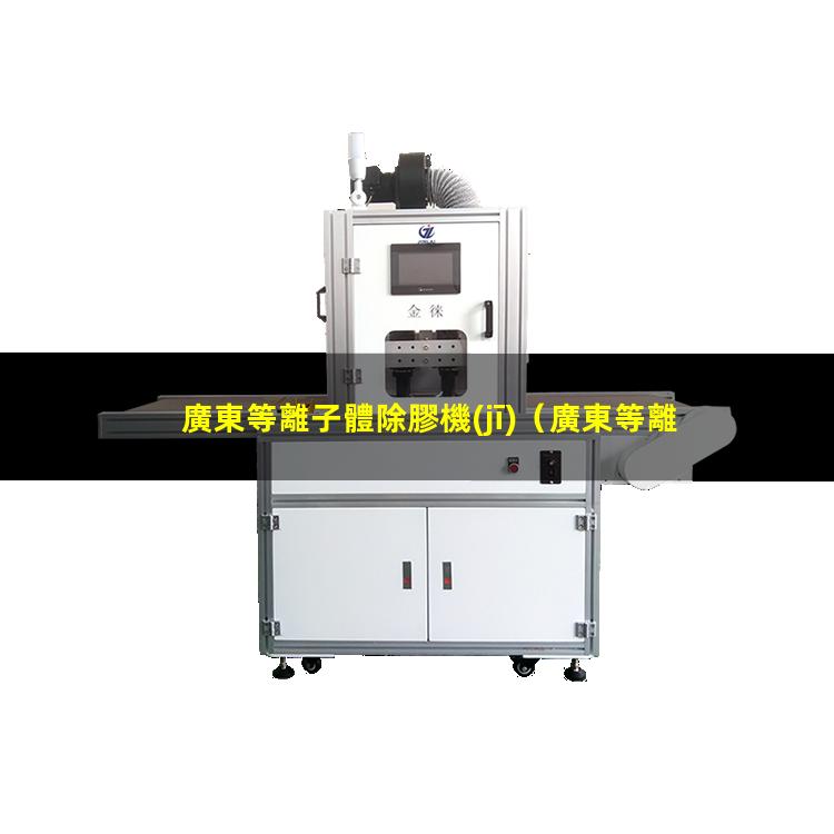 廣東等離子體除膠機(jī)