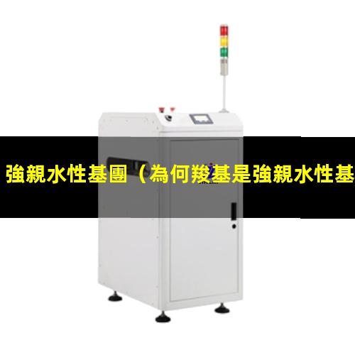 強親水性基團