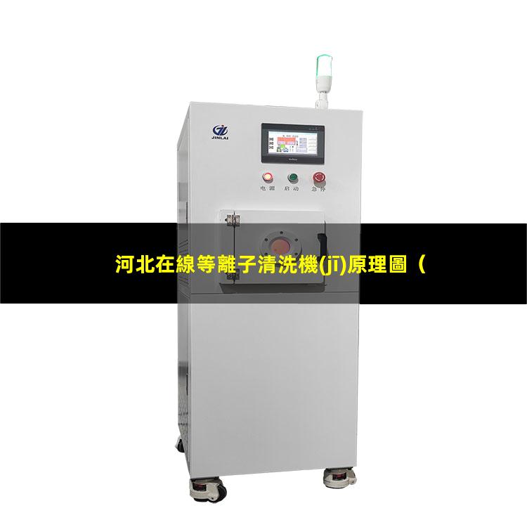 河北在線等離子清洗機(jī)原理圖