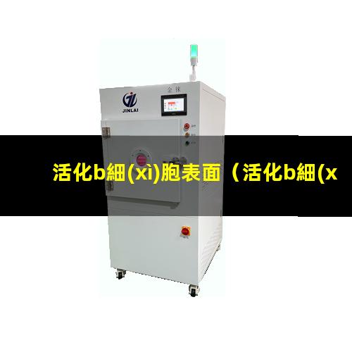 活化b細(xì)胞表面