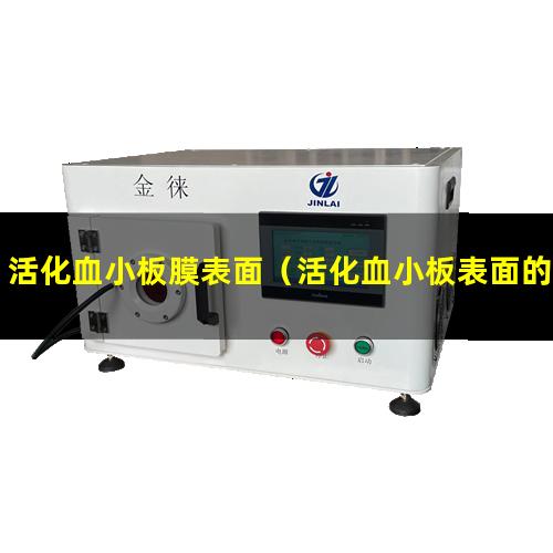 活化血小板膜表面