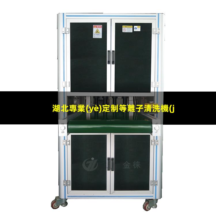 湖北專業(yè)定制等離子清洗機(jī)腔體制造廠家