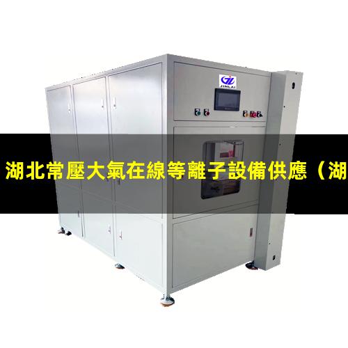 湖北常壓大氣在線等離子設備供應