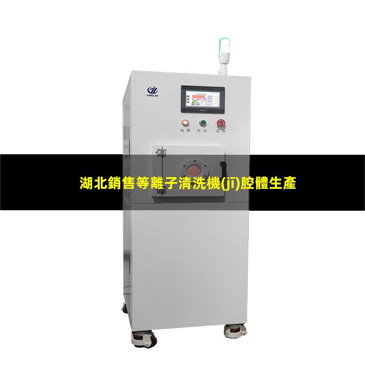 湖北銷售等離子清洗機(jī)腔體生產(chǎn)