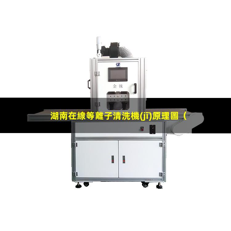 湖南在線等離子清洗機(jī)原理圖