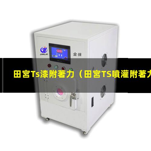 田宮Ts漆附著力