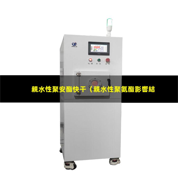 親水性聚安酯快干
