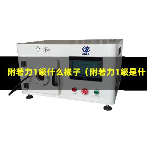 附著力1級什么樣子