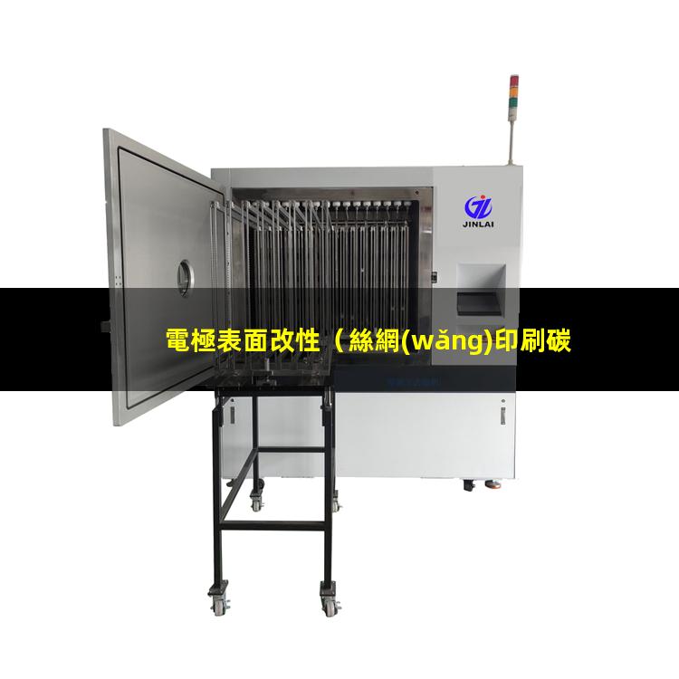 電極表面改性