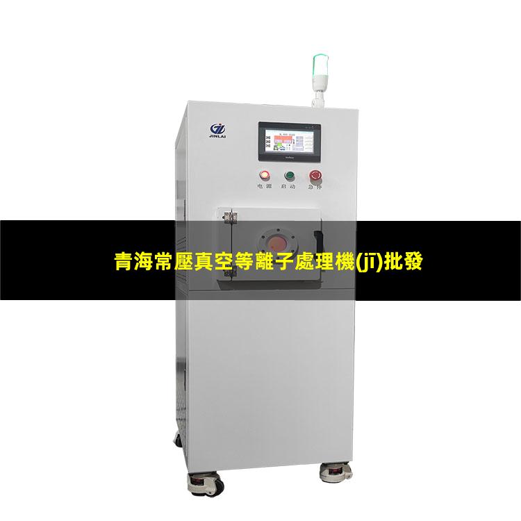 青海常壓真空等離子處理機(jī)批發(fā)
